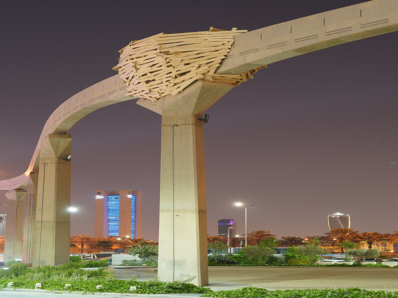 Nests in Riyadh