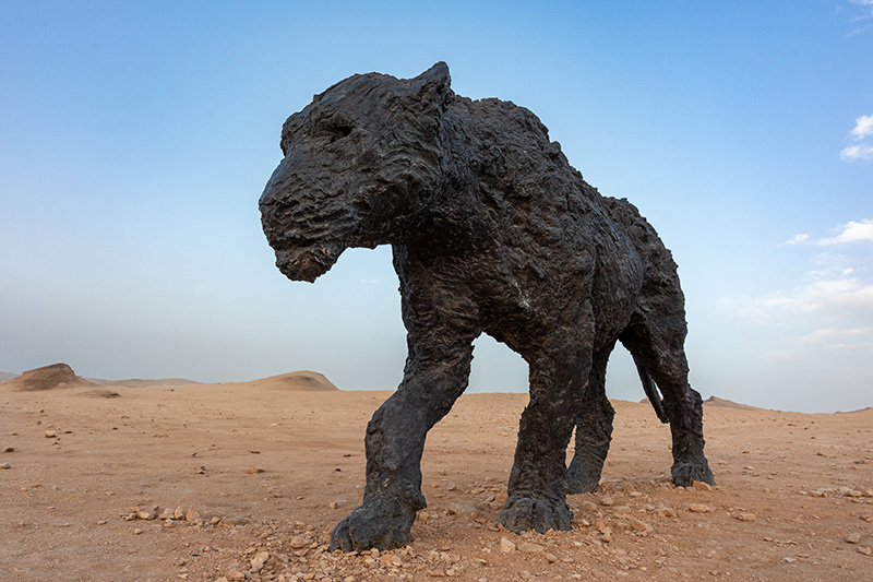 اللبؤة